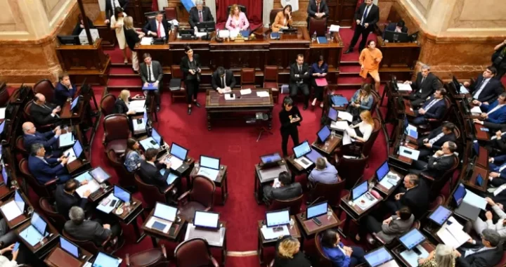 EL SENADO COMIENZA A DEBATIR EL PRESUPUESTO 2023