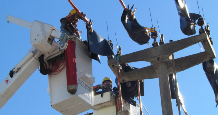 LA EPE FINALIZÓ LAS TAREAS DE REPARACIÓN: «SE RESTABLECIERON 40 DISTRIBUIDORES FUERA DE SERVICIO, DESDE SANTA ROSA DE CALCHINES HASTA SAUCE VIEJO» 