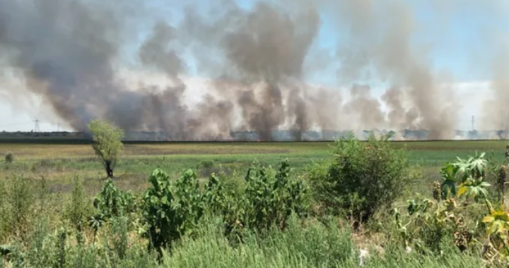 ALARMANTE: 19 INTERVENCIONES DE BOMBEROS EN UN SOLO DÍA GRAN PARTE DE ELLOS EN LA COSTA SANTAFESINA