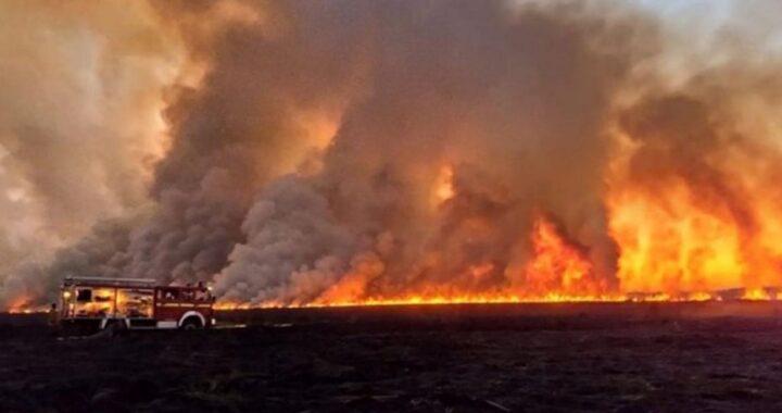 INCENDIOS: NACIÓN CREA UNIDAD PARA PREVENCIÓN DE DELITOS AMBIENTALES