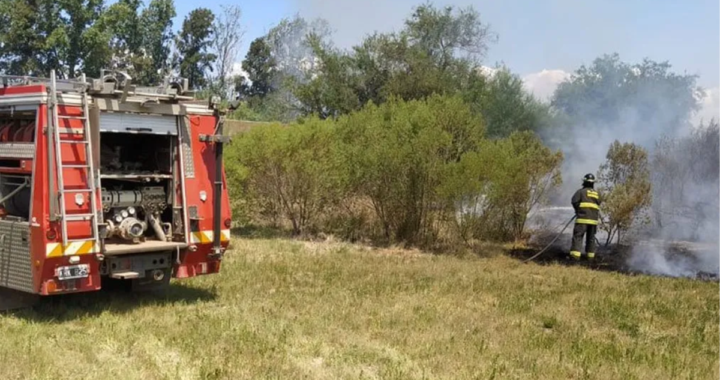 MENOS INCENDIOS EN LA COSTA: BOMBEROS ZAPADORES RESCATAN LA DISMINUCIÓN DE LOS FOCOS ÍGNEOS