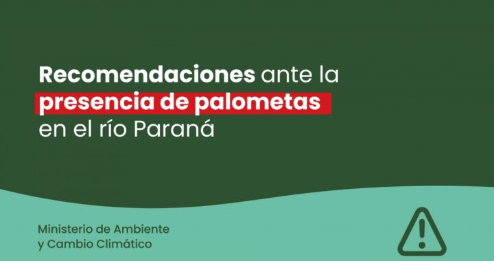 LA PROVINCIA BRINDÓ RECOMENDACIONES ANTE LA PRESENCIA DE PALOMETAS EN EL RÍO PARANÁ