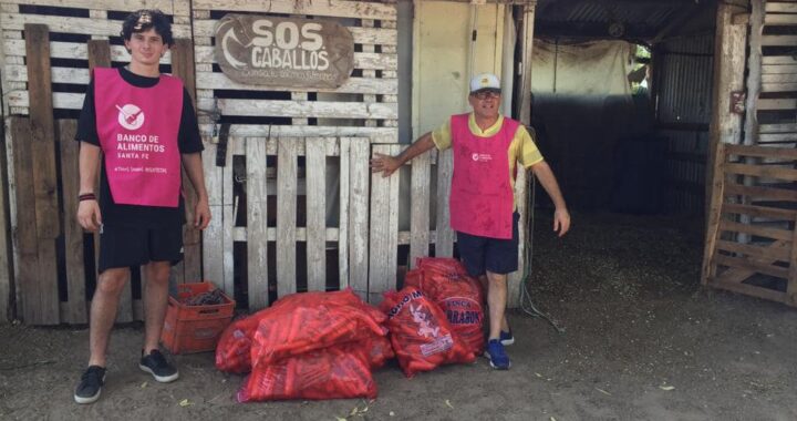 EL BANCO DE ALIMENTOS DONÓ ZANAHORIAS PARA LOS ANIMALES DE SOS CABALLOS ALOJADOS EN EL PREDIO DE COLASTINÉ NORTE 