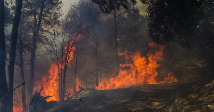 TRES PROVINCIAS REGISTRAN FOCOS ACTIVOS DE INCENDIOS FORESTALES