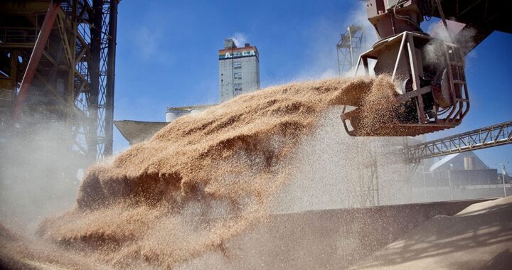 INDEC: LA ACTIVIDAD ECONÓMICA RETROCEDIÓ 1,2% EN DICIEMBRE POR LA CAÍDA DEL AGRO