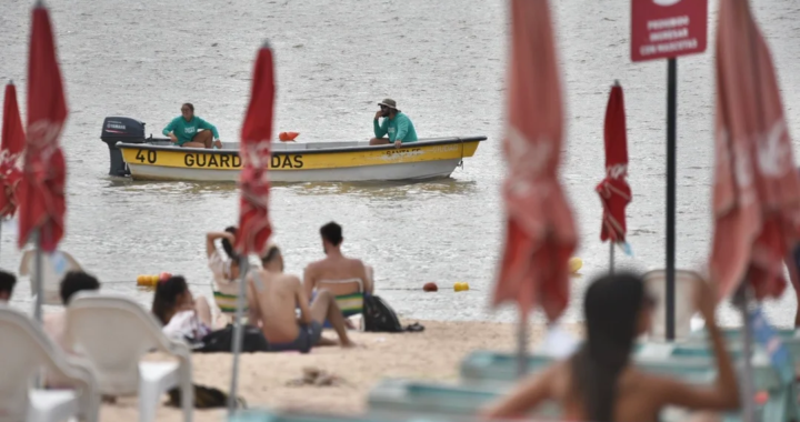 PROHÍBEN EL INGRESO A LA SETÚBAL POR LA PRESENCIA DE PALOMETAS