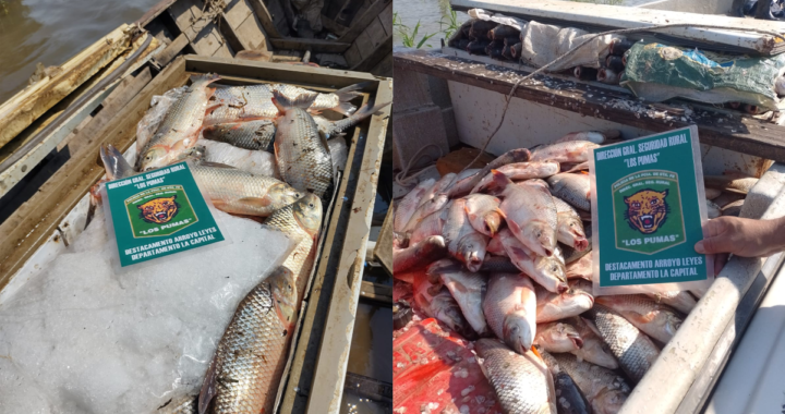 INFRACCIÓN A LA LEY DE PESCA: EFECTIVOS POLICIALES DECOMISAN 2.550 PESCADOS EN ARROYO LEYES