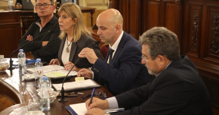 BRILLONI SE REUNIÓ CON SENADORES PARA DEFINIR UNA NUEVA LEY DE EMERGENCIA EN SEGURIDAD