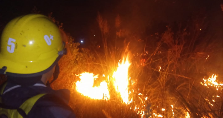 BOMBEROS VOLUNTARIOS DE RINCÓN Y ZAPADORES SOFOCARON UN INCENDIO EN EL RESERVORIO DE LOS ESPINILLOS 