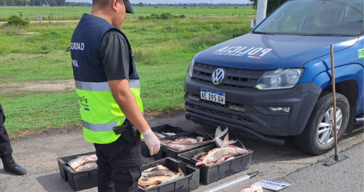 TRANSPORTABA 250 KILOS DE PESCADOS DE SANTA ROSA A LOS ZAPALLOS SIN HABILITACIÓN Y ALGUNAS ESPECIES VEDADAS