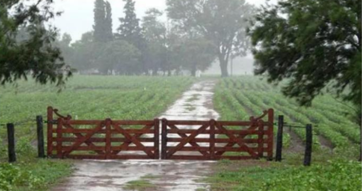 SE REGISTRARON IMPORTANTES LLUVIAS EN LOCALIDADES DEL DEPARTAMENTO GARAY Y SE PRONOSTICA QUE SEGUIRÁN