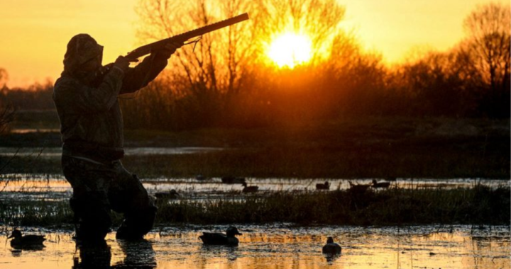 PELIGRA LA TEMPORADA DE CAZA DE PATOS EN LA PROVINCIA POR LOS CASOS DE GRIPE AVIAR