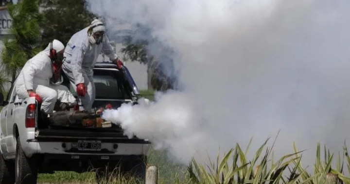 LOS CONTAGIOS POR DENGUE SE DUPLICAN CADA 48 HORAS