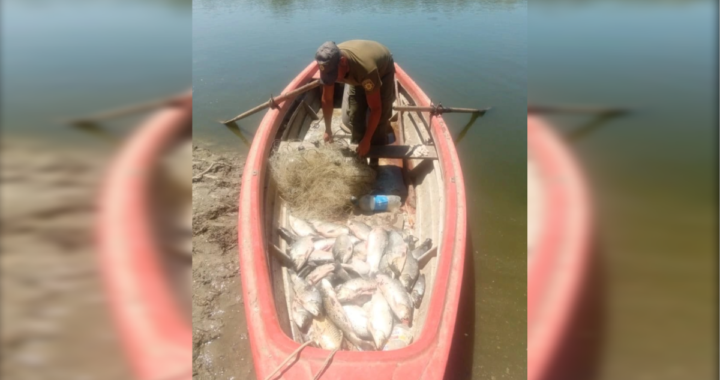 POLICÍA RURAL LABRA ACTAS DE INFRACCIÓN A LEY DE PESCA EN ARROYO LEYES POR 200 SÁBALOS