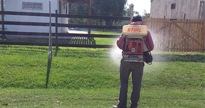 OPERATIVO CONJUNTO DE BLOQUEO EN ARROYO LEYES POR CASO POSITIVO DE DENGUE