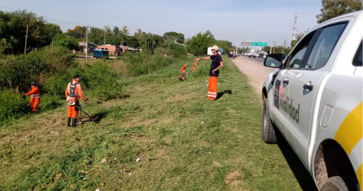 RUTA 1: VIALIDAD PROVINCIAL REALIZA EL DESMALEZADO EN EL TRAMO DE RINCÓN