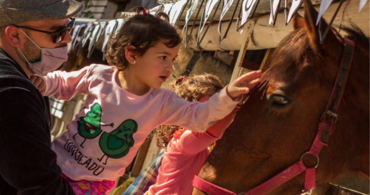 S.O.S. CABALLOS REALIZA UNA JORNADA PARA  COMPARTIR UNA TARDE EN COLASTINE NORTE CON LOS ANIMALES RESCATADOS 