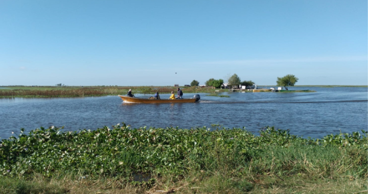 EL PRIMER MONITOREO DE PECES TRAS 3 AÑOS DE BAJANTE DEL RÍO PARANÁ SE HACE EN CAYASTÁ Y HELVECIA