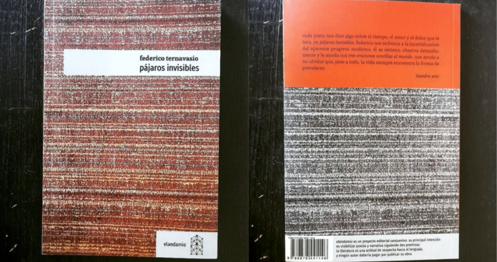 FEDERICO TERNAVASIO PUBLICÓ «PÁJAROS INVISIBLES», SU PRIMER POEMARIO DESDE ARROYO LEYES