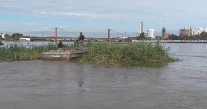 LA PROVINCIA COORDINA LOS TRABAJOS DE REMOCIÓN DEL EMBALSADO EN LA LAGUNA SETÚBAL