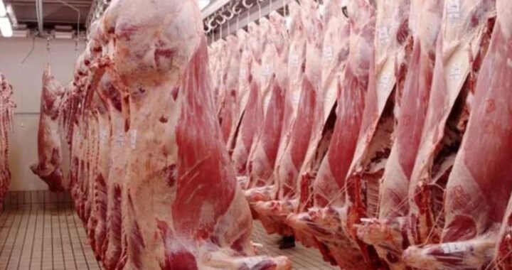 EN EL PRIMER TRIMESTRE DEL AÑO, LAS EXPORTACIONES DE CARNE VACUNA SUBIERON UN 12%