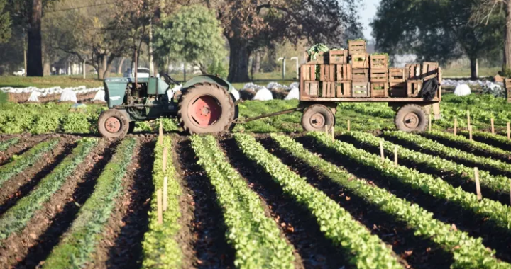 LA PROVINCIA ACOMPAÑA A PRODUCTORES FRUTIHORTÍCOLAS AFECTADOS POR LA SEQUÍA