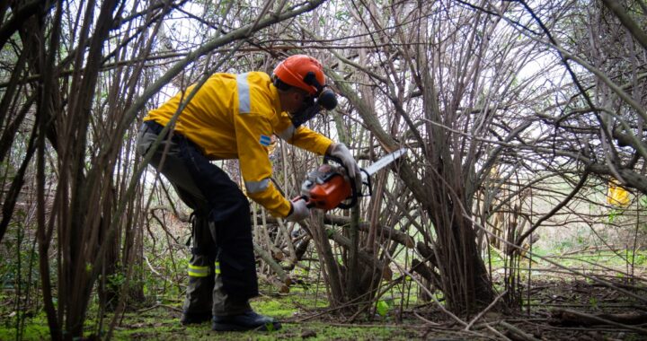 EL GOBIERNO DE SANTA FE CONTINÚA DESARROLLANDO ACCIONES PARA PREVENIR INCENDIOS EN ISLAS DEL SUR PROVINCIAL