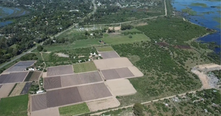 OBRA PÚBLICA: “LA DEFENSA DE RINCÓN Y ARROYO LEYES ES UNA DE LAS OBRAS QUE ESTÁN PLANTEADAS CON BONOS”