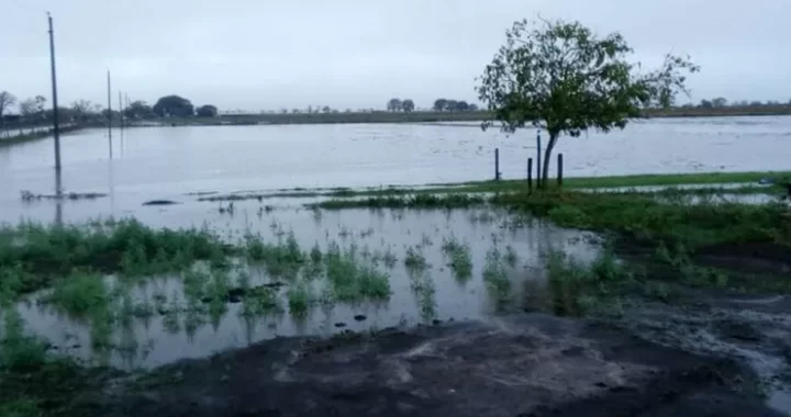 CREARÁN UN COMITÉ DE EMERGENCIA PROVINCIAL PREVENTIVO POR EL FENÓMENO EL NIÑO