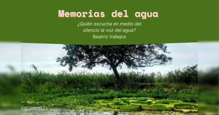 MEMORIAS DEL AGUA: UN LLAMADO A LA CONSCIENCIA Y PARTICIPACIÓN CIUDADANA PROPUESTA DESDE EL CAF 10 DE RINCÓN