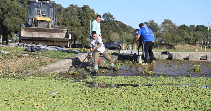 LA MUNICIPALIDAD REALIZA UN OPERATIVO DE LIMPIEZA EN EL LAGO DEL PARQUE DEL SUR