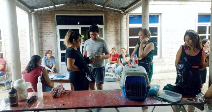 “LAS CAMPAÑAS DE CASTRACIÓN EN LA COSTA NO ALCANZAN PARA ABORDAR LA GRAN CANTIDAD DE ANIMALES QUE NECESITAN ATENCIÓN”