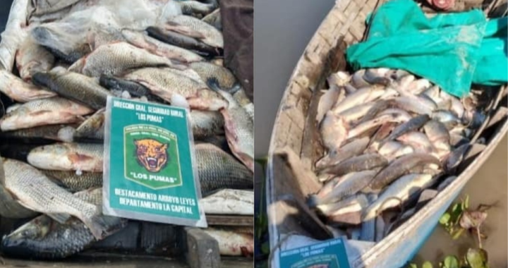 EFECTIVOS DE LAS CAÑAS Y ARROYO LEYES MULTAN A 6 POR PESCA ILEGAL