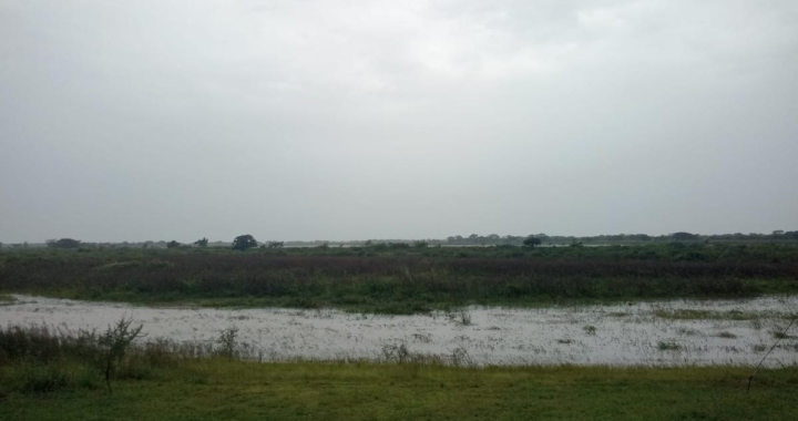 JORNADA CUBIERTA EN LA COSTA: SIN PRECIPITACIONES A LA VISTA