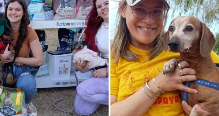 EL SALCHIENCUENTRO REUNIÓ A ADORABLES CANINOS EN UNA TARDE DIVERTIDA