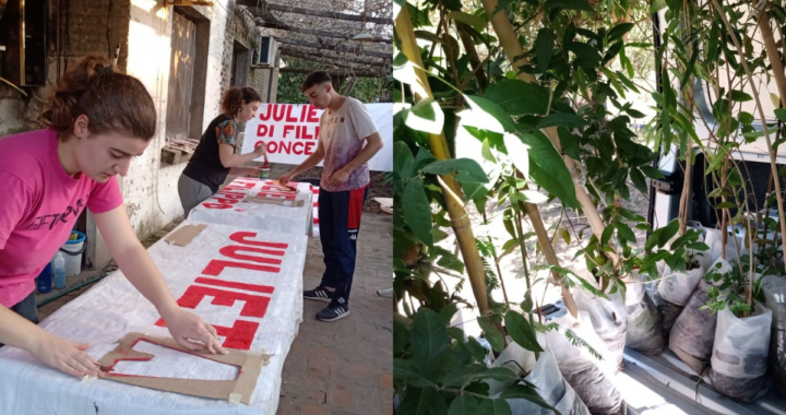 UN CAMPAÑA POLÍTICA QUE APUESTA AL MEDIO AMBIENTE: “UN CARTEL POR UN ÁRBOL»