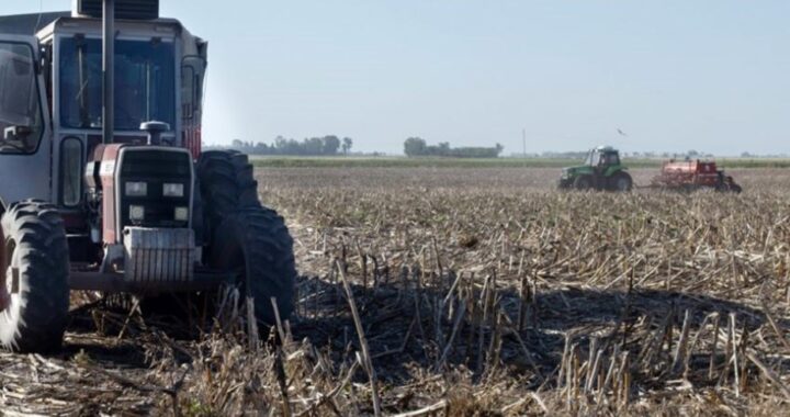 POR LA SEQUÍA, CAYÓ 50% LA LIQUIDACIÓN DE DIVISAS DE LA AGROINDUSTRIA