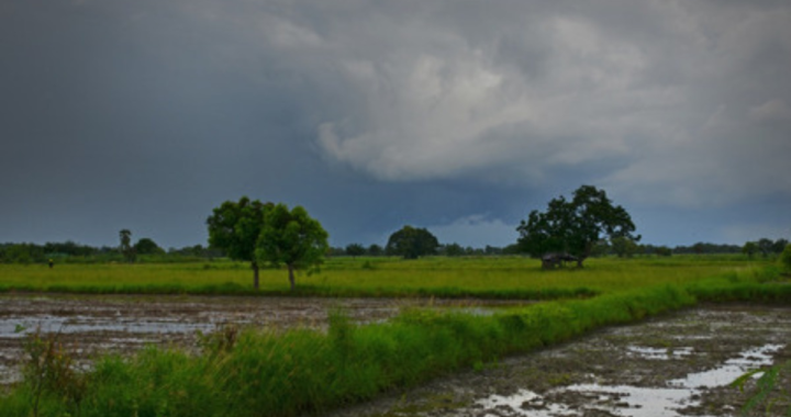 LLUVIAS EN EL DEPARTAMENTO GARAY: REGISTRO DE MILÍMETROS POR LOCALIDADES