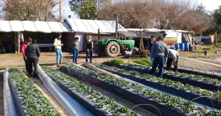 CON UN CICLO DE CHARLAS LA COMUNA DE ARROYO LEYES APUNTA AL FOMENTO DE LA AGROECOLOGÍA EN CULTIVOS INTENSIVOS