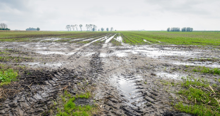 LLUVIAS EN EL DEPARTAMENTO GARAY: REGISTROS IMPACTANTES HASTA LA FECHA