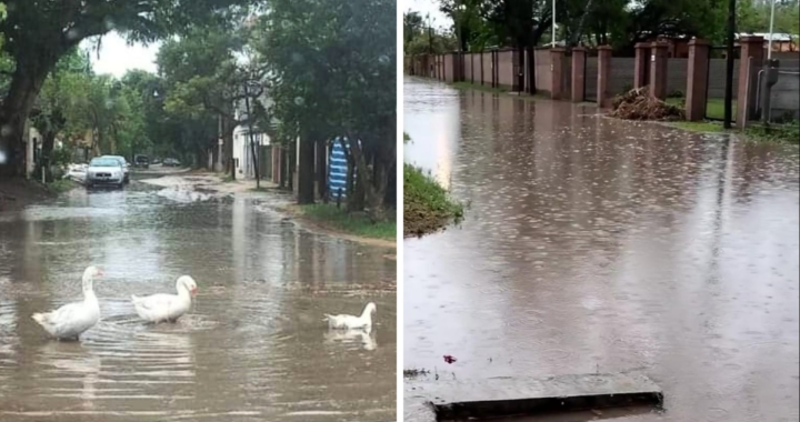 LAS LLUVIAS COMPLICAN LA TRANSITABILIDAD EN SAN JOSÉ DEL RINCÓN