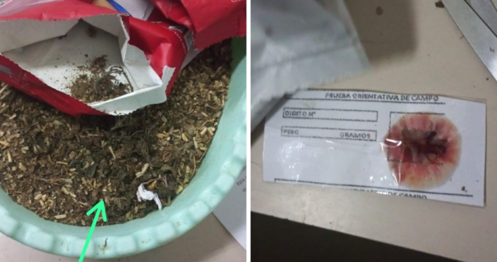 “TOMARON MATES DE MARIHUANA”: FUERON A COMPRAR YERBA EN RINCÓN, LA DEVOLVIERON PORQUE LES HIZO MAL Y RESULTÓ SER CANNABIS SATIVA