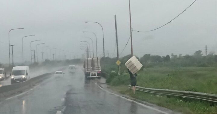 PERCANCE EN LA RUTA 168: CAMIÓN PIERDE CARGA DE CAJONES DE PLÁSTICO