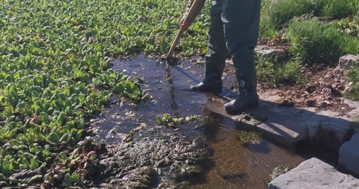 LA MUNICIPALIDAD DE SANTA FE TRABAJA PARA RECUPERAR EL LAGO DEL PARQUE SUR