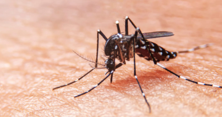 CAMPAÑA DE PREVENCIÓN CONTRA EL DENGUE EN SANTA ROSA DE CALCHINES