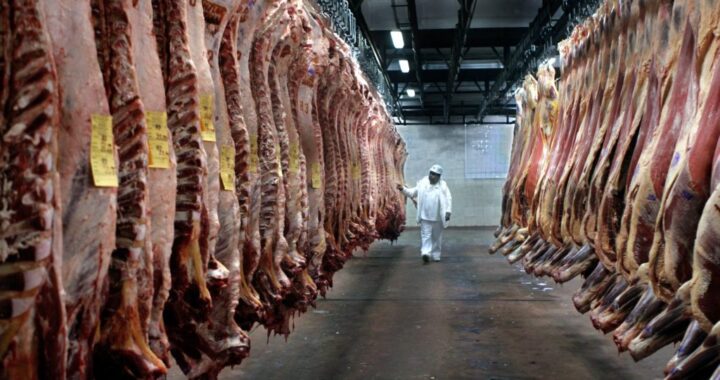 EXPORTACIÓN DE CARNE LIBERADA: CÓMO PUEDE AFECTAR AL MERCADO INTERNO