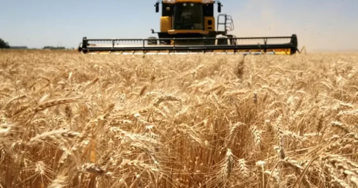 LA AGROINDUSTRIA GENERÓ EL 55% DE LAS EXPORTACIONES ARGENTINAS