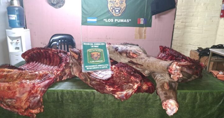 «LOS PUMAS» DE ARROYO LEYES INCAUTARON 300 KILOS DE CARNES Y DETUVIERON A DOS HOMBRES POR ABIGEATO