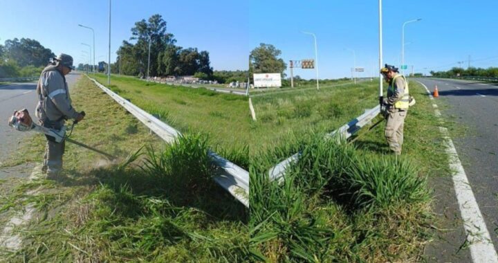 VIALIDAD NACIONAL REALIZA EL CORTE DE PASTO EN EL ACCESOS A SANTA FE POR RUTA 168