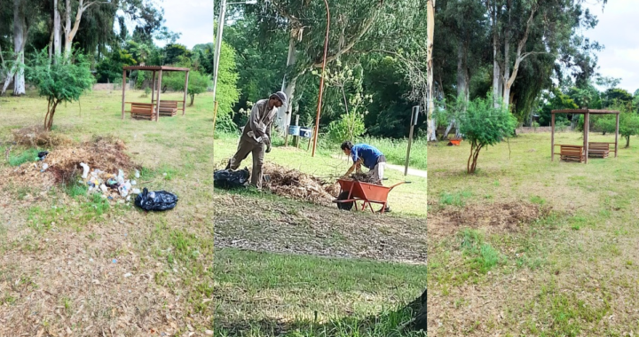 EXITOSA JORNADA DE LIMPIEZA EN LA PLAZA EL EUCALIPTAL DE RINCÓN: VECINOS TRABAJARON PARA EMBELLECER EL ESPACIO PÚBLICO